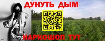 spice Кингисепп