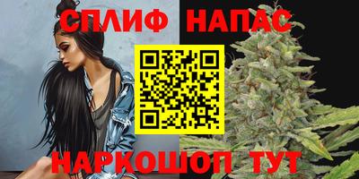 сатива Кимры