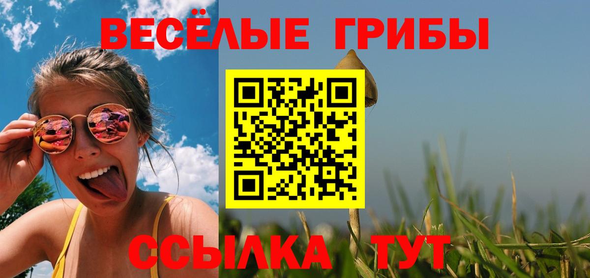 Псилоцибиновые грибы мухоморы Кингисепп