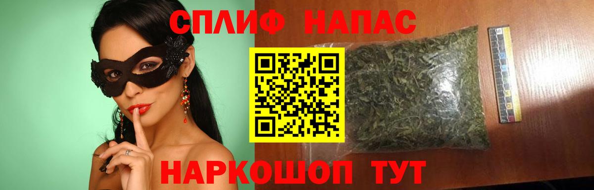 Марихуана сатива Кингисепп